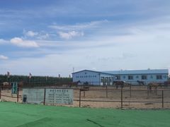 -沈阳静安马场