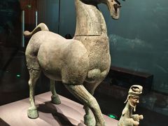 -广西壮族自治区博物馆