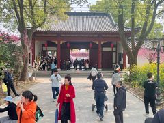 -南汇桃花村