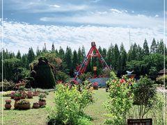 -东平国家森林公园