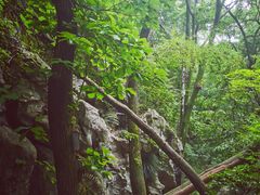 -九曜山