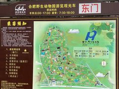 -合肥野生动物园