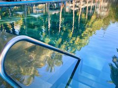 -半山半岛洲际度假酒店·观海廊