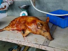 怀集石头猪-溪悦渔庄(九龙湖店)