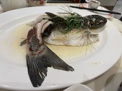 -稻香酒家·34年老字号·港式粤菜(侨光店)