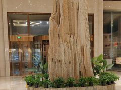 -兴芮温泉度假区