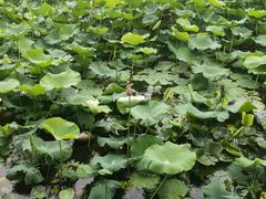 -3W咖啡(国家软件园店)