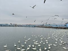-石岛赤山风景区