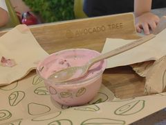 -油梨树AVOCADO TREE(嘉里中心店)