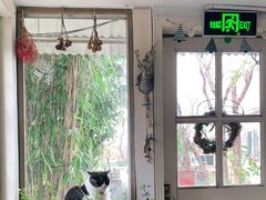 -海边的猫和咖啡馆