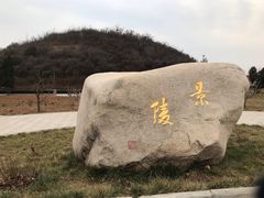 -洛阳古墓博物馆