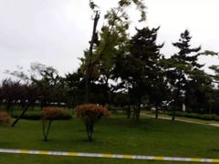 -日照灯塔风景区