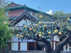 -星巴克(延吉百利城店)