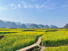 -万峰林风景区