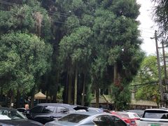 -西岭雪山大飞水景区