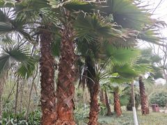 -桤木河湿地公园