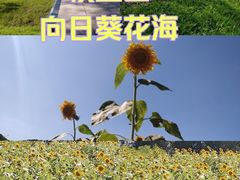 -棋盘山风景区