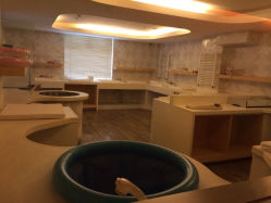 iphone_upload_pic-知爱母婴专护全套房月子会所(新华路店)