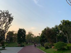 -光明港公园