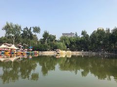 -莲湖公园