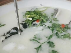 -宝荣鱼馆·临湖之宴(千岛湖店)
