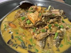 -饭怕鱼·黄焖鲟龙鱼(湖大店)