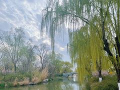 -济南大明湖景区
