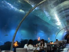 -涛·海底餐厅·美人鱼·自助餐·海底隧道(三亚海棠湾洲际度假酒店)