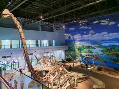 -自贡恐龙博物馆