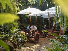 -Fern Forest Cafe