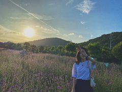 -映月湖中央公园