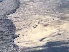 -南澳海滩