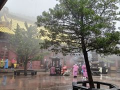-普陀山风景名胜区-法雨禅寺