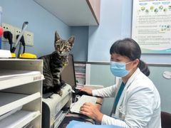 -纳吉亚猫专科动物诊疗中心(蒋宅口分院)