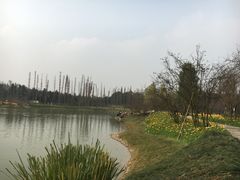 -秀丽东方