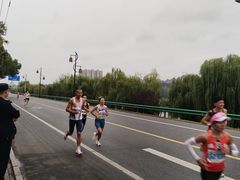 -随州碧桂园凤悦凤凰酒店