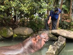 -宁波野生动物园
