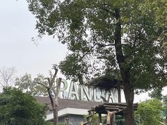 -武汉动物园