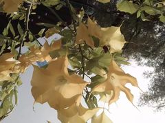 -普陀宗乘之庙(小布达拉宫)
