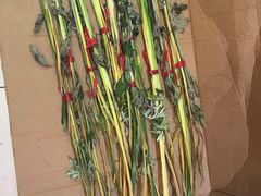 -莱蔻·圣灸堂·推拿艾灸(天山店)