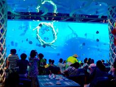 -瑞德姆美人鱼海底演艺主题餐厅(亚龙湾店)