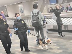 -约翰·菲茨杰拉德·肯尼迪国际机场