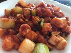 -南宫温泉水世界