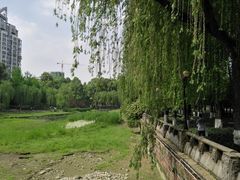 -温江公园