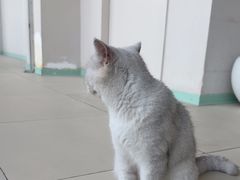 -怪兽屋·羊驼·猫咖·狗咖(俊华广场店)
