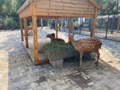 -长白岛森林公园