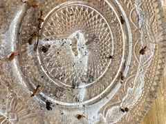 -水中央富硒温泉