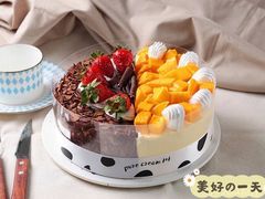 -维尔纳斯·生日蛋糕动物奶油冰淇淋蛋糕(人大店)