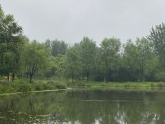 -东郊湿地公园