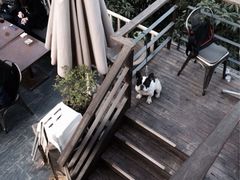 -Ginger(兴国路店)